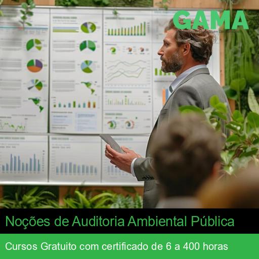 Noções de Auditoria Ambiental Pública